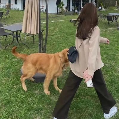 初恋是榴莲先生